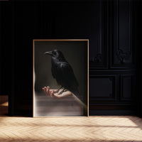 Ancient Wisdom Perches On Palm