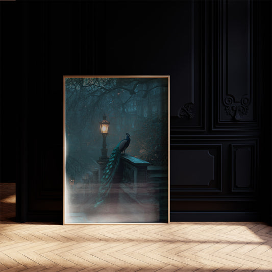 Midnight Peacock Guards Ancient Path