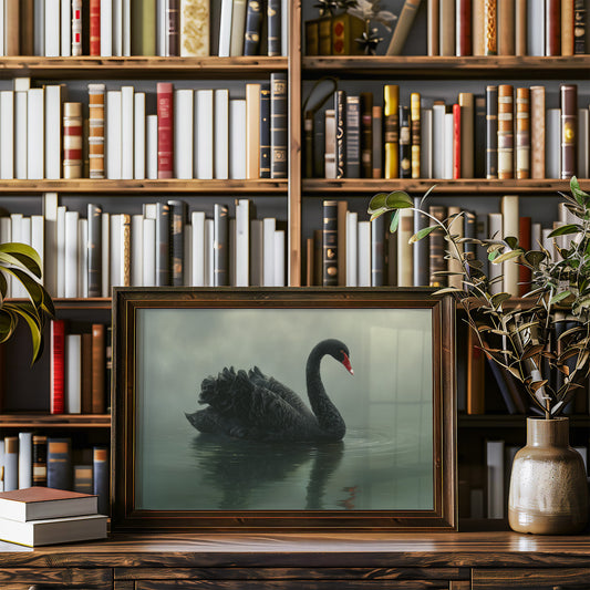 Elegant Glide Through Misty Waters