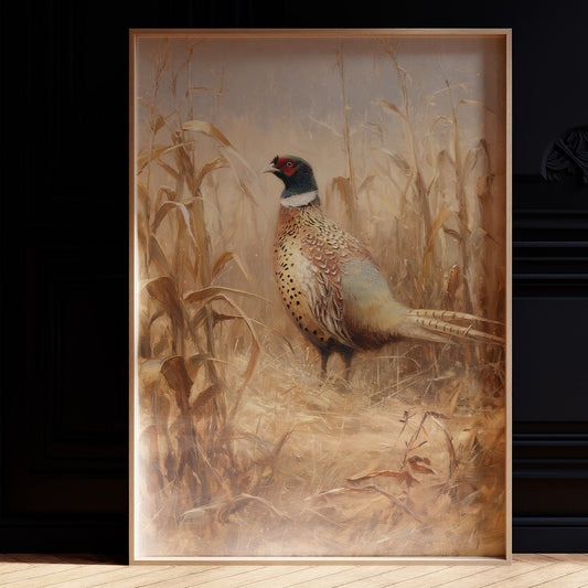 Pheasant Stands Among Golden Stalks