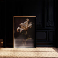 Solitary Bloom Against Midnight Depths