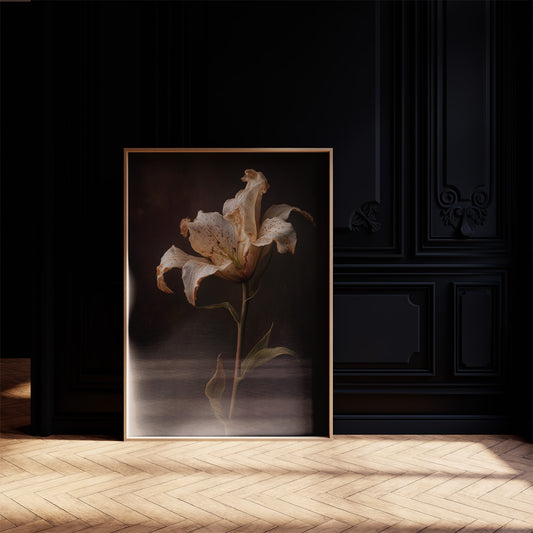 Solitary Bloom Against Midnight Depths