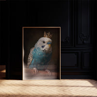 Royal Plumage In Midnight Court