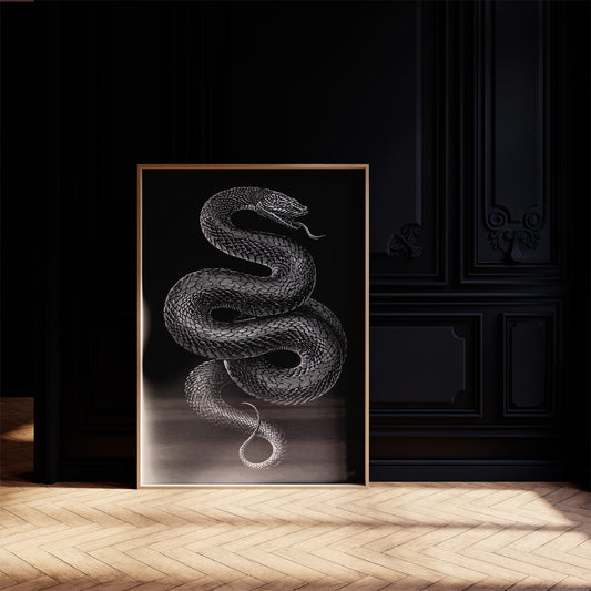 Midnight Scales In Silver Light