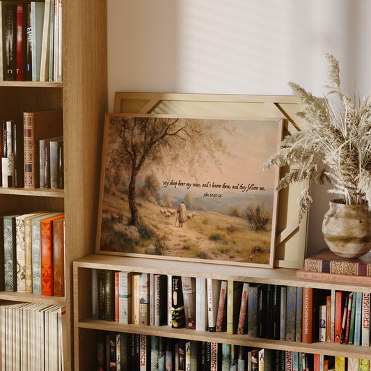 Shepherd's Path In Golden Light