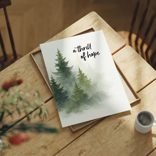 Evergreens Carry Quiet Promises