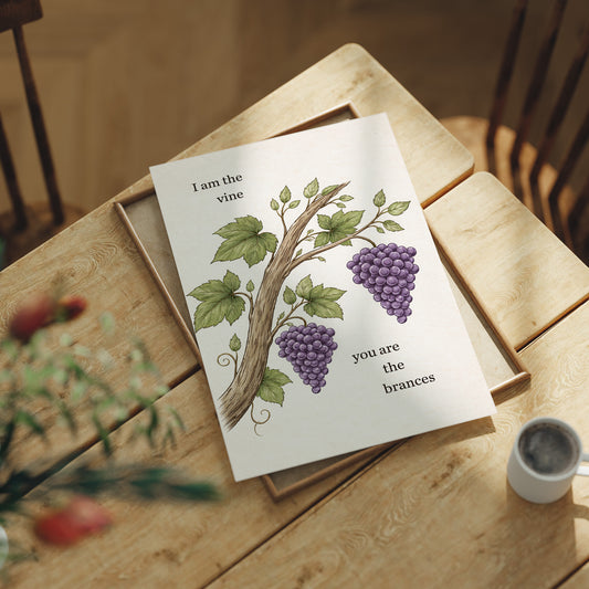 Sacred Connection Through Vineyard Wisdom