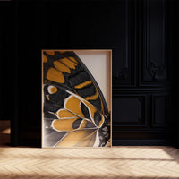 Amber Wings: Nature's Intricate Architecture