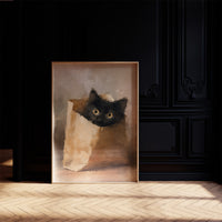 Curious Package: Midnight in a Paper Bag