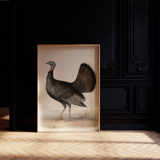 Regal Wild Turkey: Portrait of American Heritage