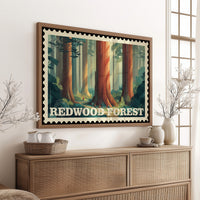 Redwood Forest: Secrets of Time