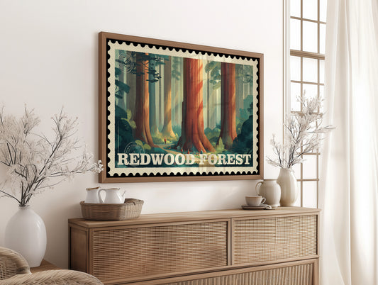 Redwood Forest: Secrets of Time