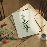 Azure Elegance: Botanical Study of Forget-Me-Not