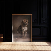 Spotted Sovereign In Studio Stillness