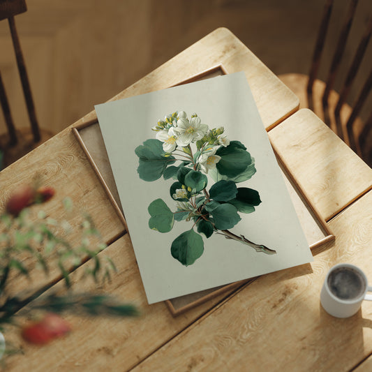 Ivory Blooms On Weathered Parchment