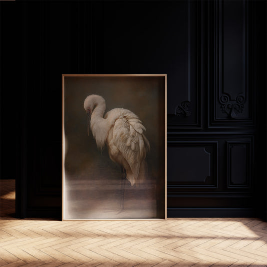 Ivory Feathers In Contemplative Stillness