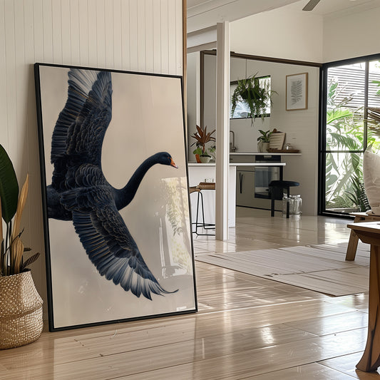 Black Swan Takes Evening Flight