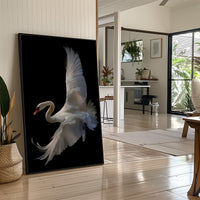 White Swan Graces The Night Bar