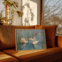 Morning Lake Holds Swan Stories