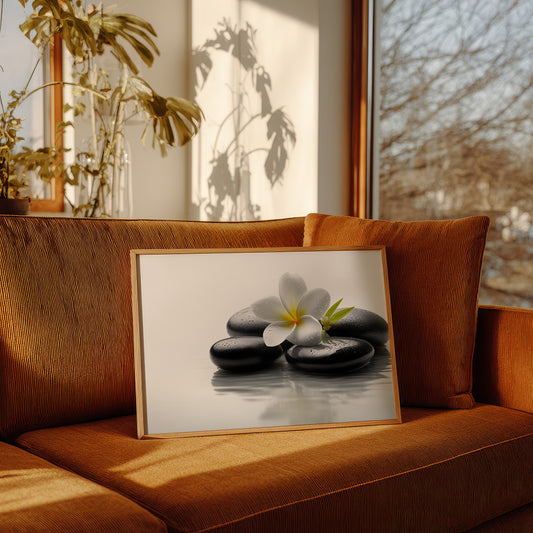 Plumeria Finds Peace On Stones