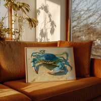 Blue Treasure From Tidal Pools