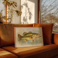 Lake Champion Catches Sunlight