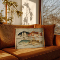 Coastal Catch On Weathered Boards