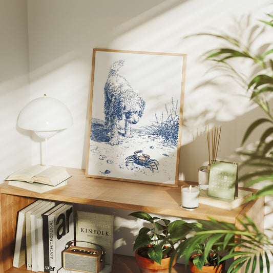 Coastal Curiosity Meets Shoreline Explorer