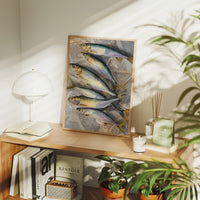 Harbinger's Catch on Faded Chronicles
