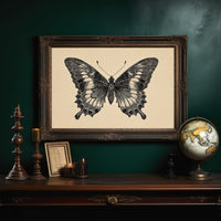 Between Pages And Flight Patterns