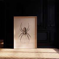 Ancient Weaver's Delicate Architecture