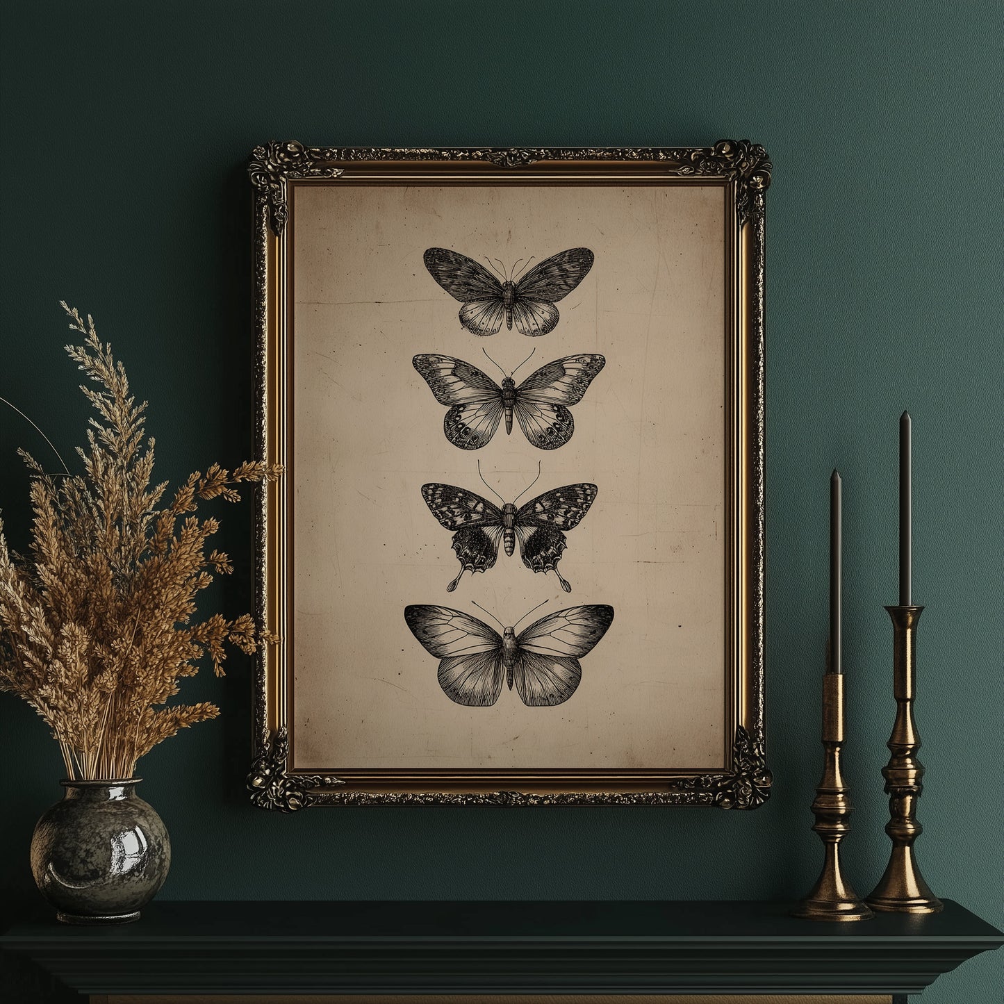 Specimen Study In Soft Light