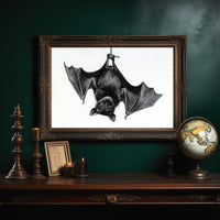 Nocturnal Scholar Hangs Between Pages