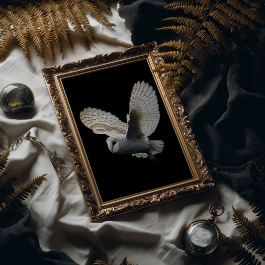 Silent Flight Against Darkness