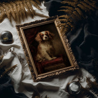 Noble Companion In Velvet Light