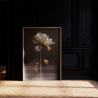 Ivory Petals Against Dark Silence