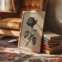 Faded Bloom In Midnight Parlor
