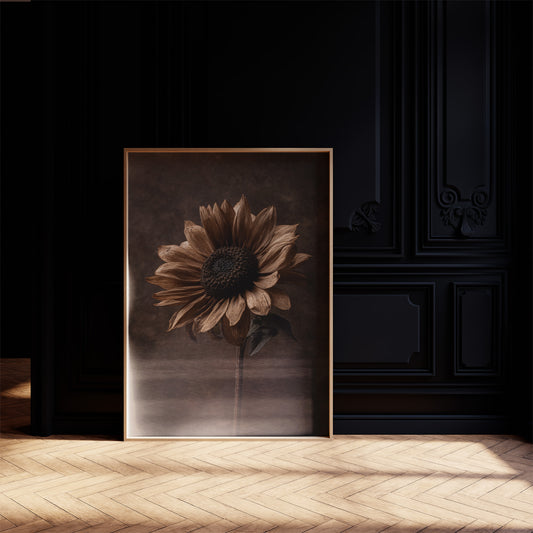 Bronze Petals Against Twilight Haze