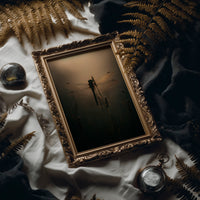 Dragonfly Pauses In Amber Light