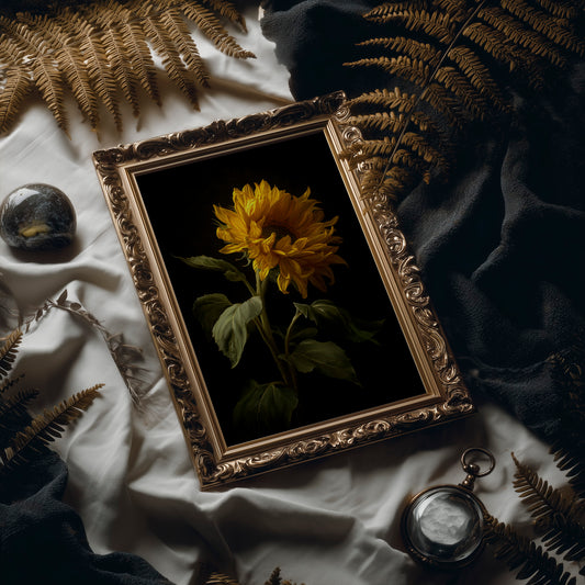 Golden Bloom Against Midnight Walls