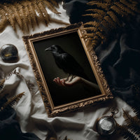 Ancient Wisdom Perches On Palm