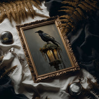 Raven Perches On Ancient Light