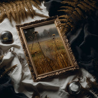 Thistles Catch Dawn's First Light