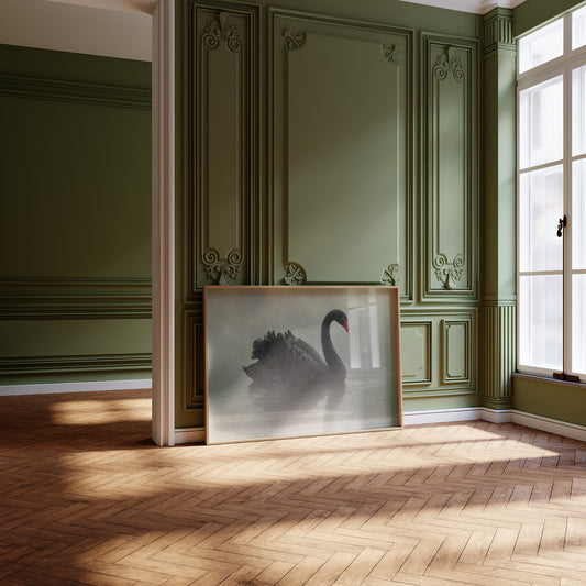 Elegant Glide Through Misty Waters