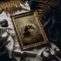 Forgotten Home Among Bare Branches