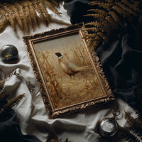 Pheasant Stands Among Golden Stalks