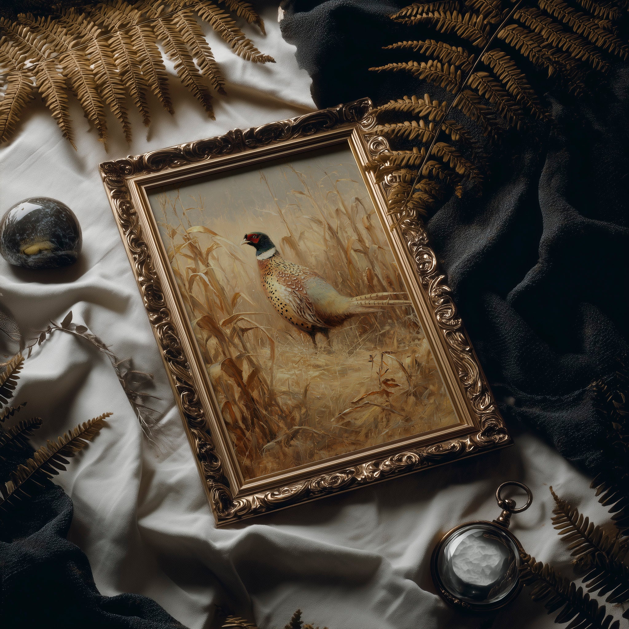 Pheasant Stands Among Golden Stalks