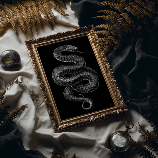 Midnight Scales In Silver Light