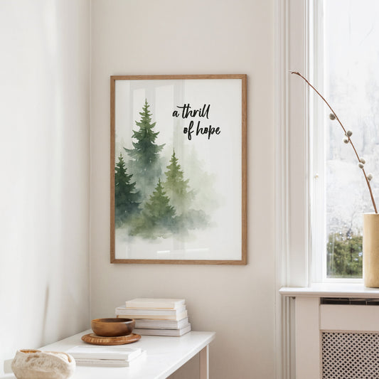 Evergreens Carry Quiet Promises