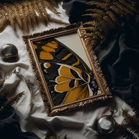 Amber Wings: Nature's Intricate Architecture